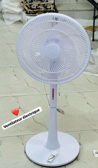 Ventilateur électrique climatiseur